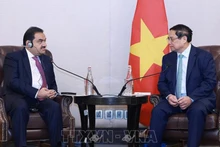 Премьер-министр Фам Минь Тьинь принимает Председателя корпорации Adani Гаутама Адани. Фото: ВИА