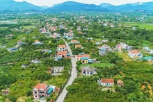 Современное сельское хозяйство, цивилизованная деревня