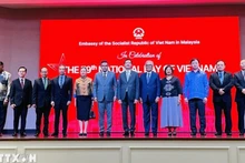 Посол Вьетнама в Малайзии Динь Нгок Линь и послы, поверенные в делах стран фотографируются на память на церемонии. Фото: ВИА