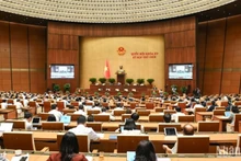 Общий вид заседания НС 20 мая 2025 года. Фото: Буй Жанг