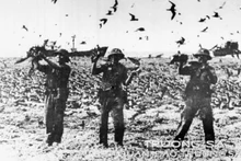 Военнослужащие на острове Тьим (архипелаг Чыонгша) охраняют и защищают остров. Архивное фото: ВИА