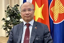 Посол Вьетнама во Франции Динь Тоан Тханг. Фото: ВИА