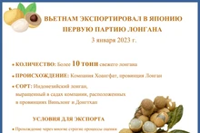 Вьетнам экспортировал первую партию лонгана в Японию