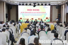 Общий вид конференции. Фото: bacninh.gov.vn