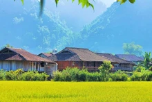 Культурная деревня общественного туризма Куиньшон. Фото: luhanhvietnam.com.vn
