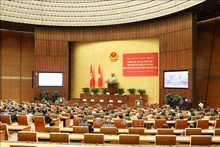 Общий вид конференции. Фото: ВИА