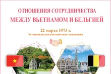 Отношения сотрудничества между Вьетнамом и Бельгией
