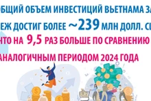 Вьетнамские инвестиции за рубеж выросли в 9,5 раз за два месяца
