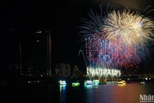 Команда Joho Pyro Professional Fireworks AB из Финляндии стала победителем DIFF 2024. Фото: Ань Да