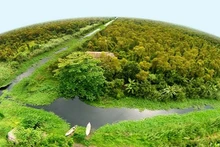 Национальный парк мыса Камау омывается морем с трех сторон. Фото: dacsanmuicamau.com