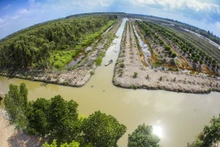 Общий вид туристической зоны. Фото: thamhiemmekong.com