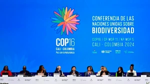 Участники COP16 в Кали (Колумбия). Фото: Синьхуа/ВИА