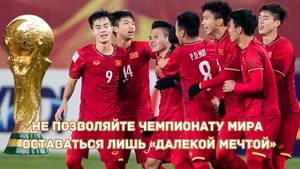 Не позволяйте Чемпионату мира оставаться лишь «далекой мечтой»