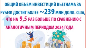 Вьетнамские инвестиции за рубеж выросли в 9,5 раз за два месяца