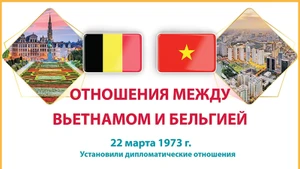 Дружба и сотрудничество между Вьетнамом и Королевством Бельгия