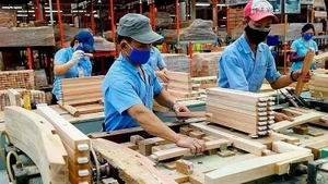 Экспорт в первом квартале до 3,95 миллиарда, что на 11,6% больше по сравнению с аналогичным периодом 2024 года. Фото: congthuong.vn
