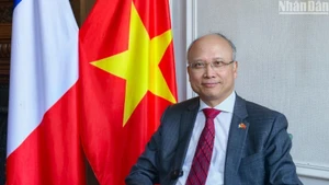 Посол Вьетнама во Франции Динь Тоан Тханг.