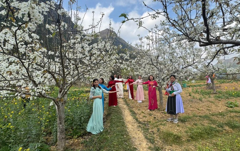 В настоящее время в общине Фобанг насчитывается почти 50 гектаров грушевых садов. Это крупнейшая площадь выращивания груш на Каменном плато Донгван.