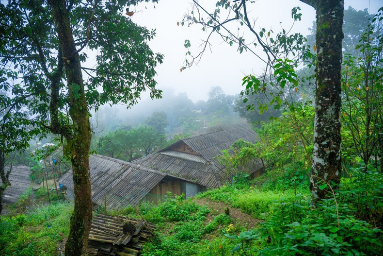 В 2025 году деревня Син-суой-хо была признана лучшим направлением общественного туризма во Вьетнаме. В 2023 году в рамках Форума по туризму Юго-Восточной Азии (ATF) она получила 3-ю премию АСЕАН в области общественного туризма, а в 2024 году Син-суой-хо была номинирована для участия в голосовании как «лучшая туристическая деревня в мире». (Фото: Вьетнам+)