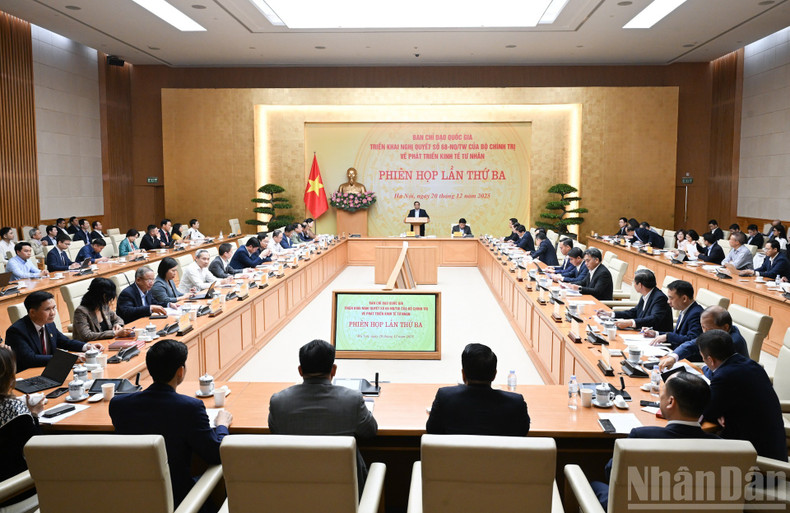 Третье заседание Национального руководящего комитета по развитию частного сектора экономики.