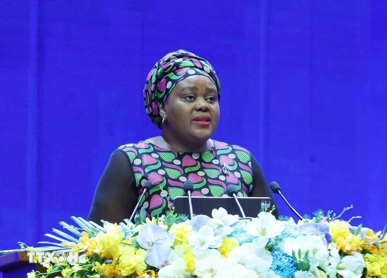 Представитель Южно-Африканской Республики выступает на пленарном заседании. (Фото: ВИА)