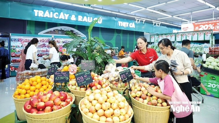 Система супермаркетов и торговых центров быстро расширяется как по количеству, так и по качеству.