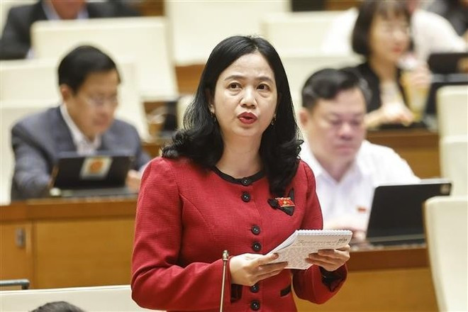 Депутат Национального собрания провинции Донгнай Дьёу Хуинь Санг выступает. (Фото: ВИА)