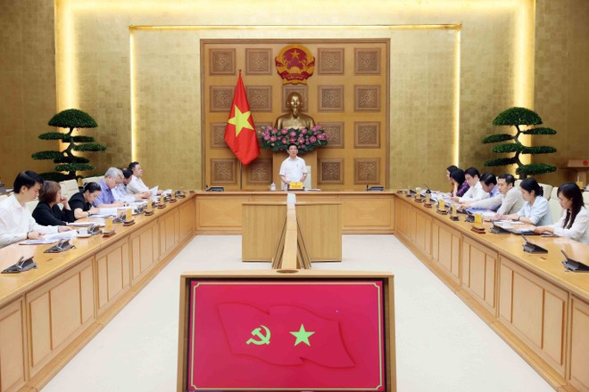 Заместитель премьер-министра Хо Дык Фок председательствует на заседании Руководящего комитета. (Фото: ВИА)