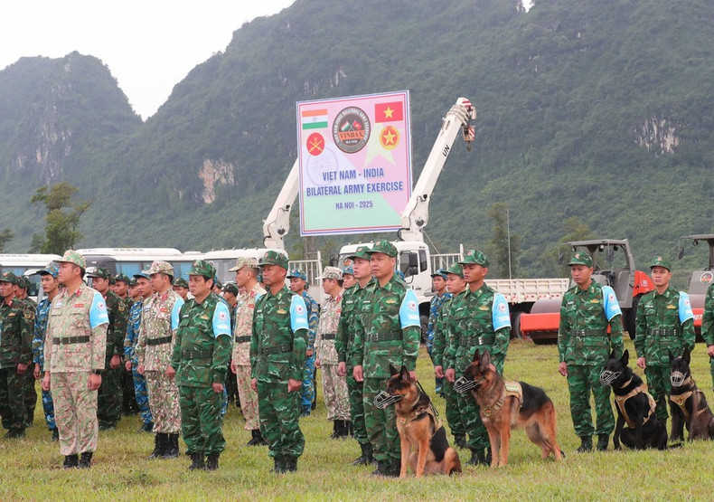 Офицеры и военнослужащие Вьетнама принимают участие в учениях. (Фото: ВИА)