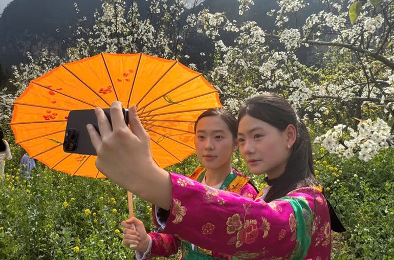 Туристы с интересом прогуливаются и знакомятся с грушевыми садами в приграничной общине Фобанг.