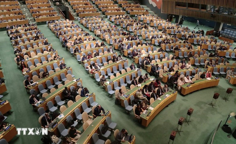 Общий вид пленарного заседания по выборам членов Совета ООН по правам человека на срок 2026-2028 годов. (Фото: ВИА)