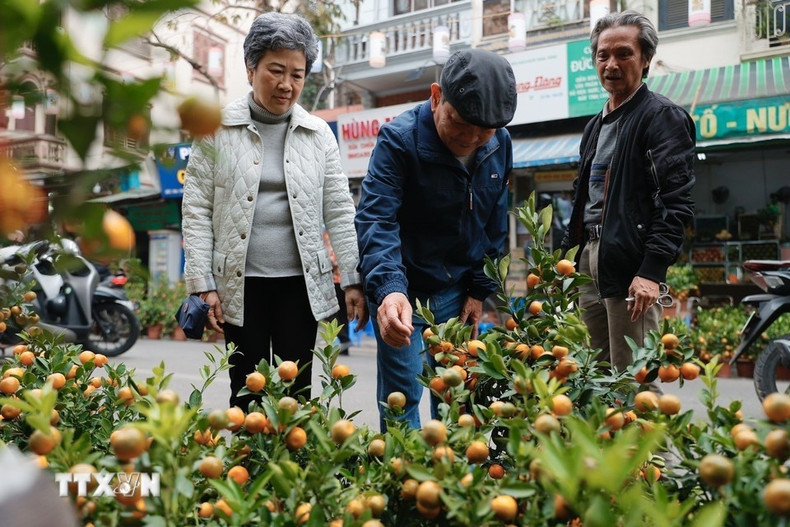 Жители столицы посещают цветочный рынок, гуляют и совершают покупки в преддверии Тэт. (Фото: ВИА)