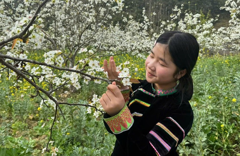 Весной грушевые сады Фобанга пышно цветут, формируя поэтичные пейзажи.