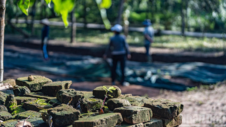 Помимо широко представленных строительных материалов – кирпича и камня, использовавшихся при возведении дороги, – были обнаружены фрагменты терракотовых изделий и глазурованной керамики, датируемые X – XII веками.
