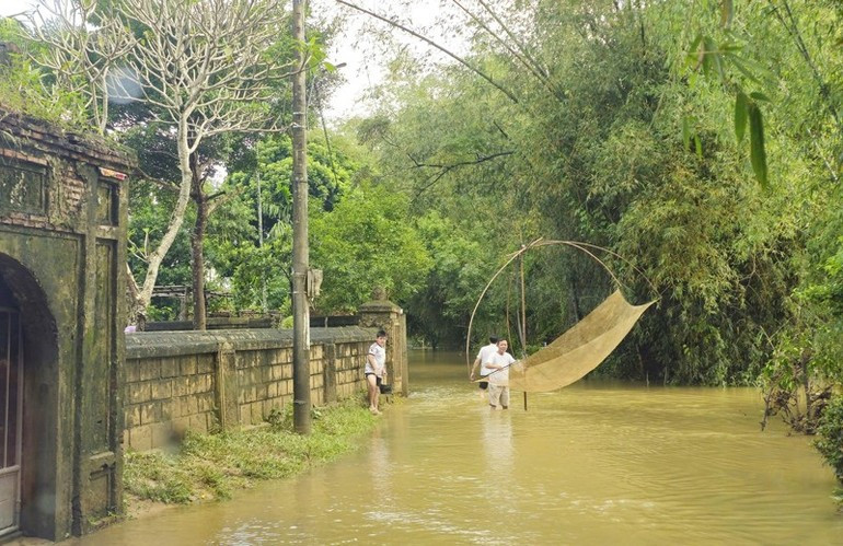 Затяжные наводнения значительно усложнили быт и условия жизни населения южных районов провинции Куангчи. anh-05-2800.jpg