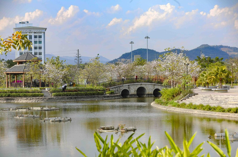 Пышное цветение в парке имени Во-тхи-шау. (Фото: ВИА)