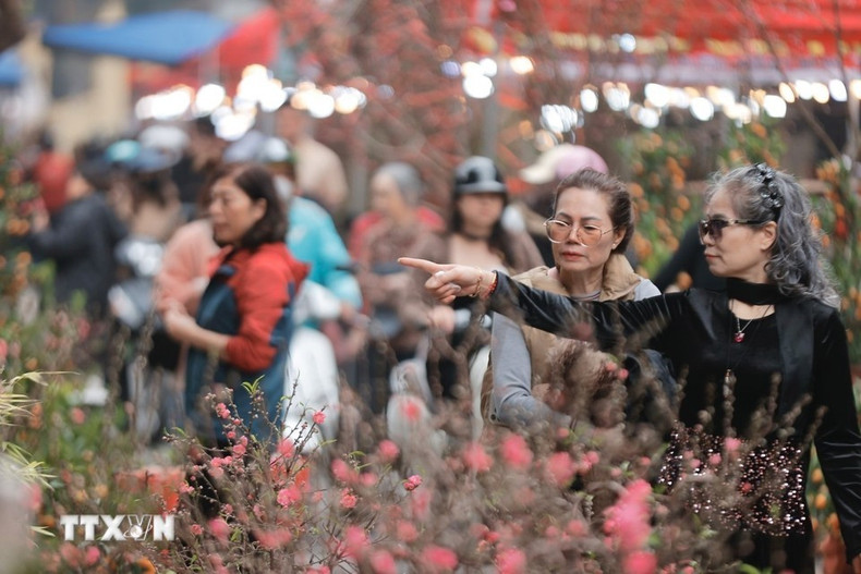 Жители прогуливаются по цветочному рынку, осматривают и покупают товары в преддверии Тэт. (Фото: ВИА)