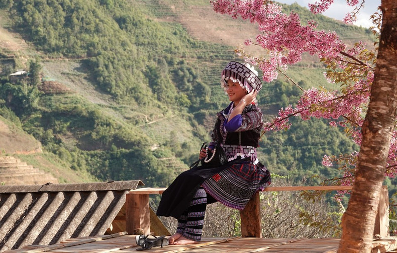 Му-канг-чай откроет Фестиваль кхена народа хмонг и Праздник цветов То-зай 2026 года вечером 3 января 2026 года с множеством ярких и самобытных мероприятий. (Фото: ВИА)