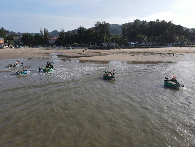 Лодки рыбаков из Лонгхай оживлённо причаливают к берегу после нескольких часов ловли сардины в море. (Фото: ВИА)