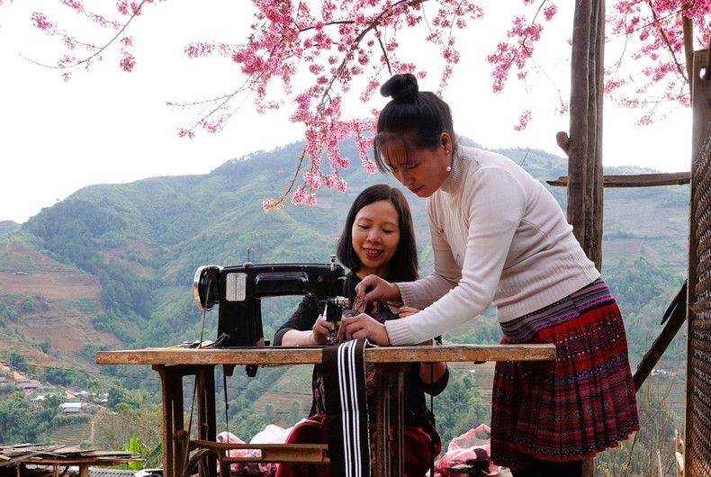 Жители высокогорного района Му-канг-чай высаживают цветы То-зай вокруг своих домов. (Фото: ВИА)