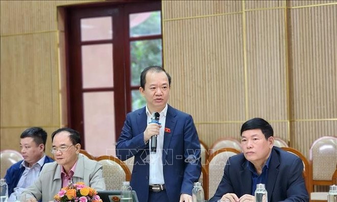 Доцент, доктор Буй Хоай Шон — специализированный член Комитета Национального собрания (НС) по вопросам культуры и общества выступает на конференции. (Фото: ВИА)