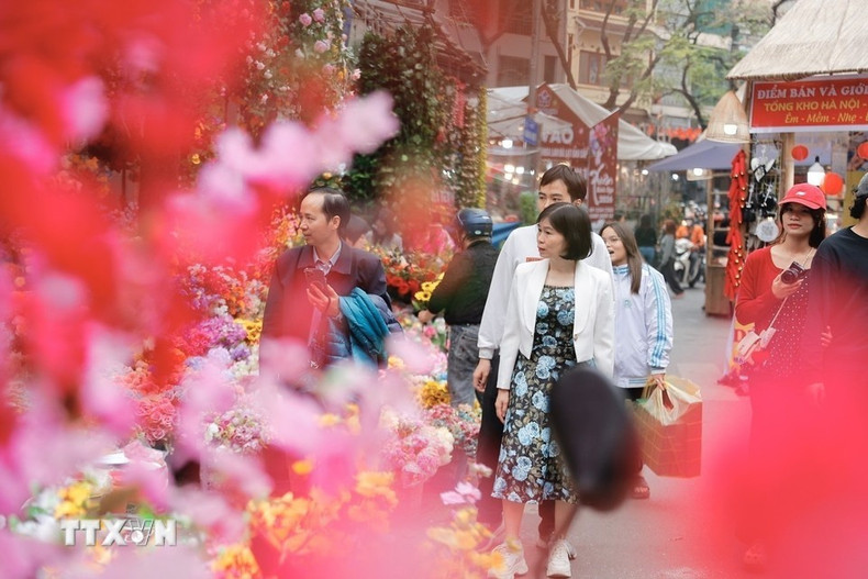 Жители приходят на цветочный рынок, чтобы прогуляться и совершить покупки в преддверии Тэт. (Фото: ВИА)