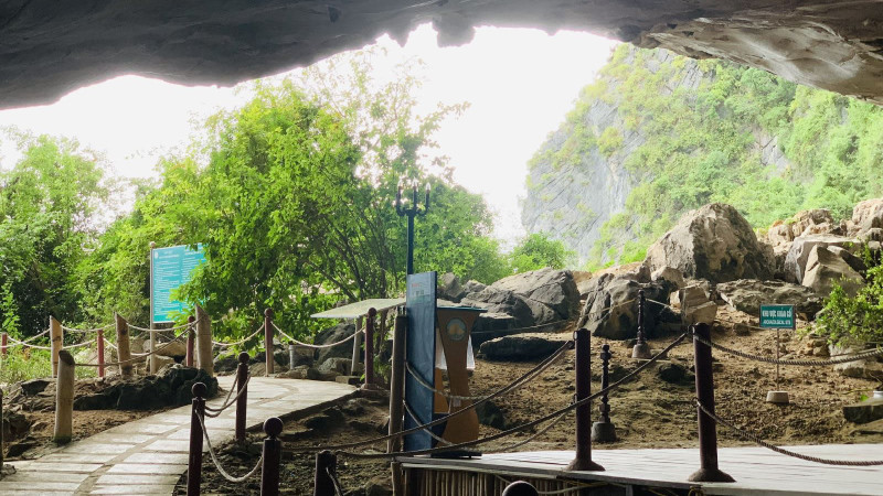 Пещера Тиенонг. Фото: Управление бухтой Халонг