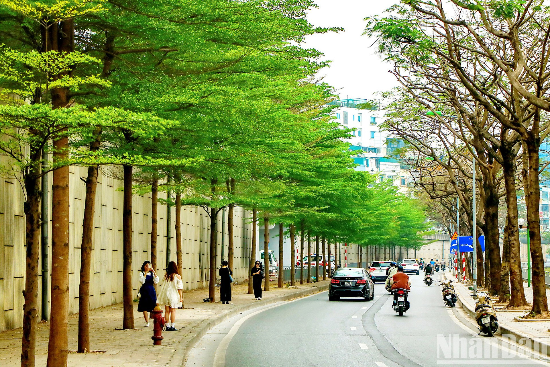 «Чек-ин» в пространстве зеленых листьев. «Чек-ин» в пространстве зеленых листьев.