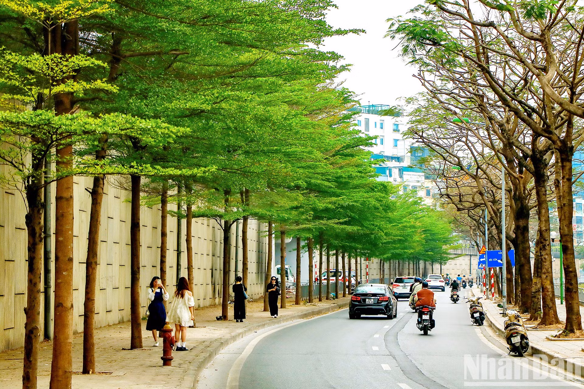 «Чек-ин» в пространстве зеленых листьев. «Чек-ин» в пространстве зеленых листьев.