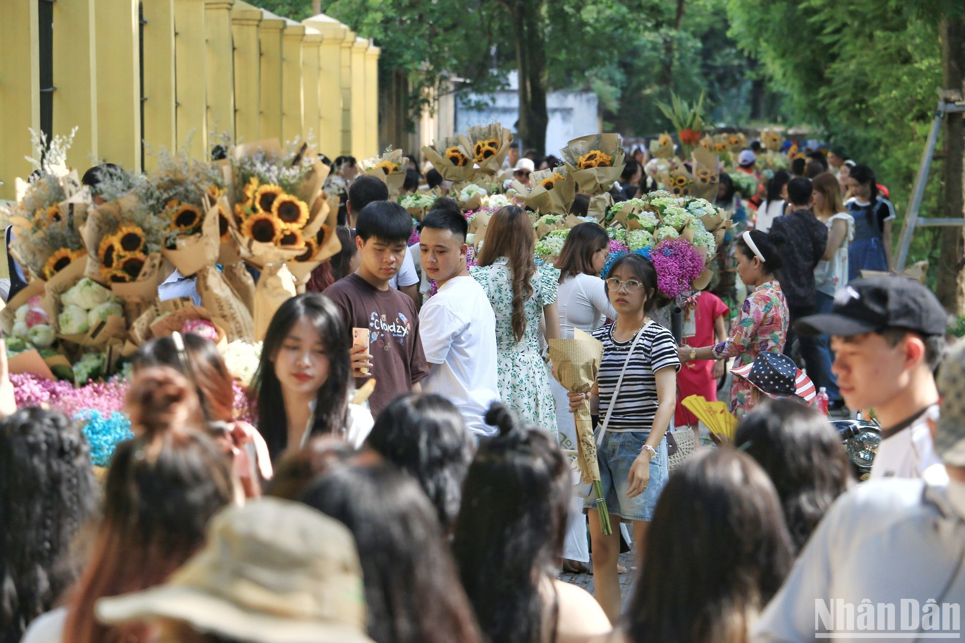 Кроме того, многие молодые люди выбрали улицу Фандиньфунг, чтобы сделать фотографии под ярким осенним солнцем. Кроме того, многие молодые люди выбрали улицу Фандиньфунг, чтобы сделать фотографии под ярким осенним солнцем.