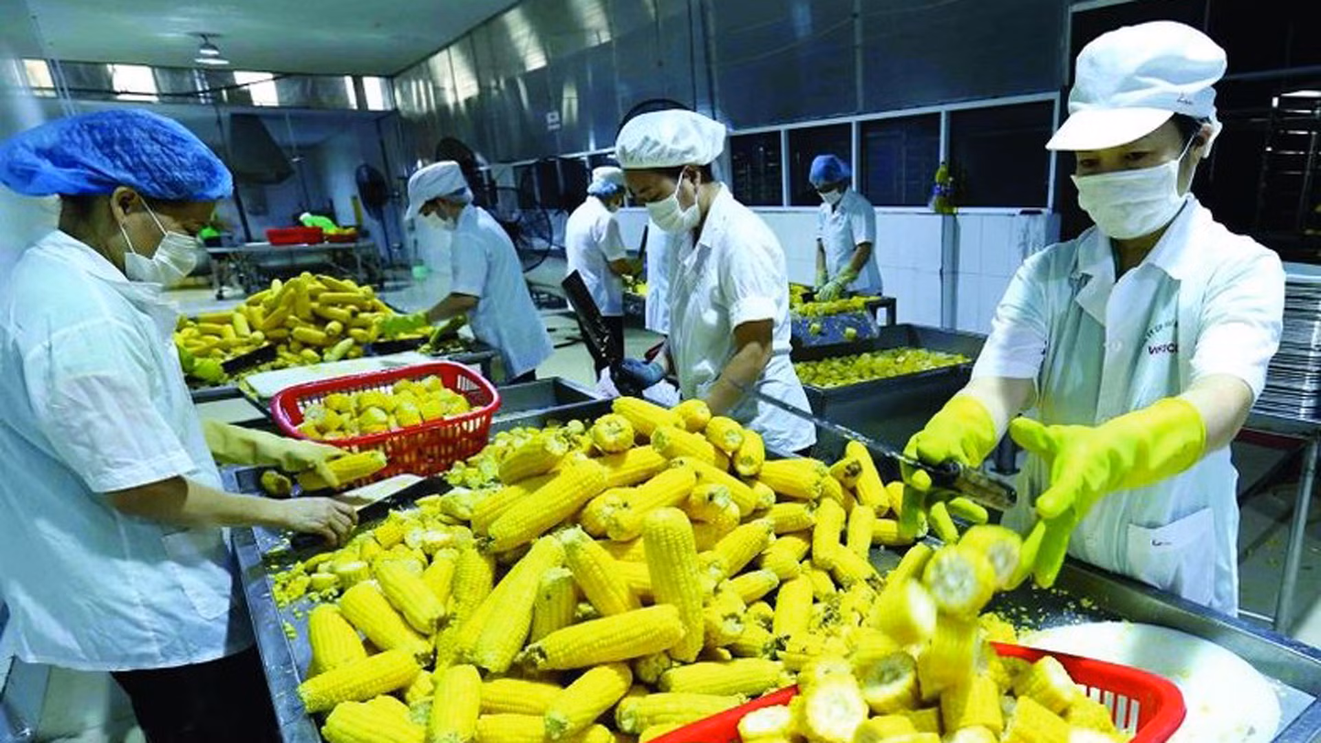 Экспортеры фруктов и овощей должны обращать внимание на рыночные стандарты.