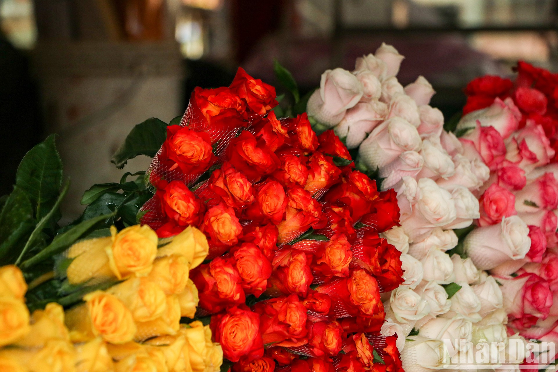 Розы, незаменимый цветок по случаю 8 марта, продаются в букетах. Розы, незаменимый цветок по случаю 8 марта, продаются в букетах.