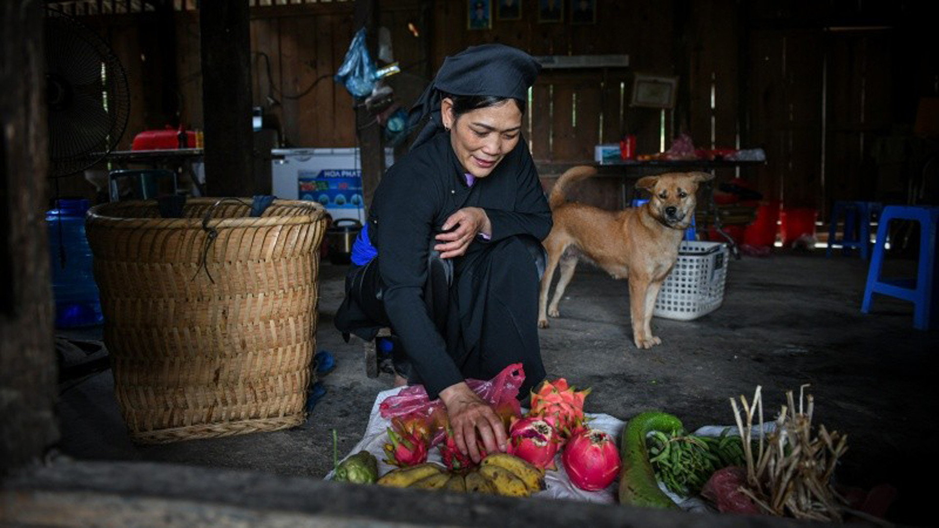 Фото: Тхань Дат Фото: Тхань Дат