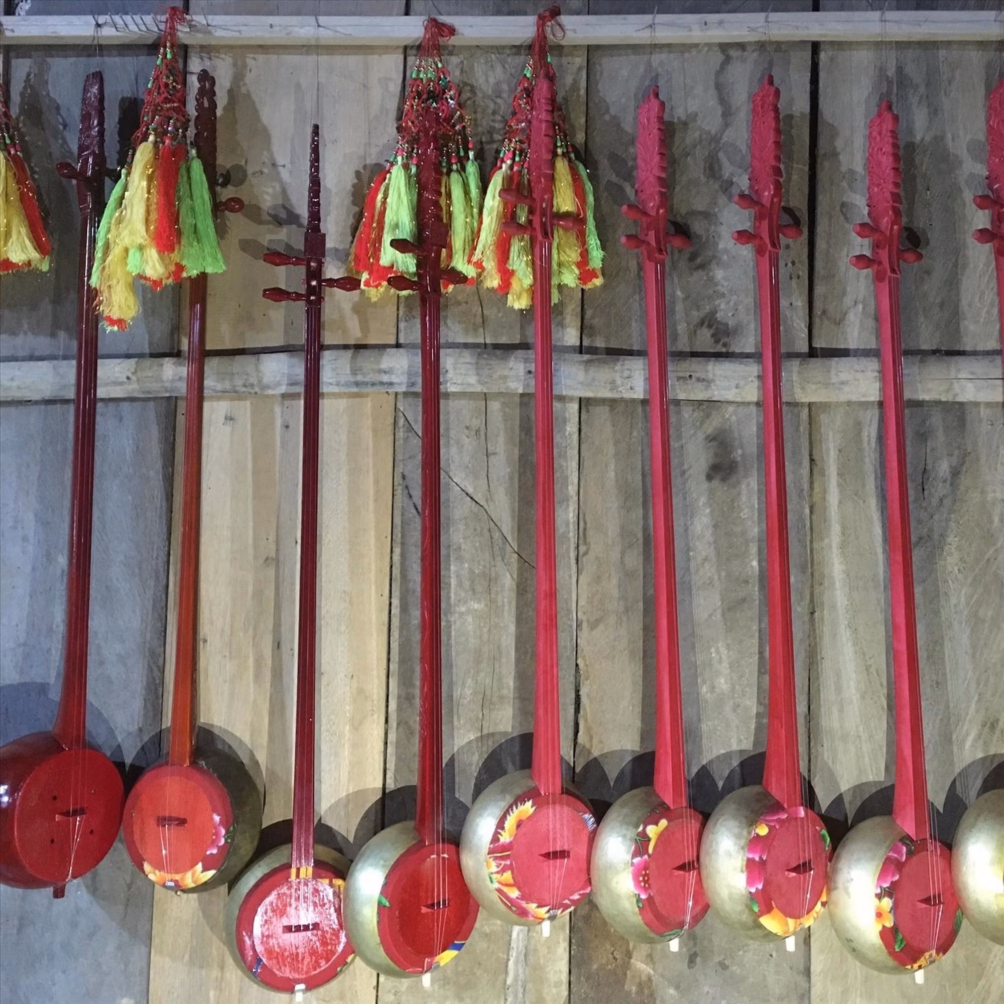 Лютна «тинь» представителей народности Тэй. Фото: Газета «Народность и развитие»